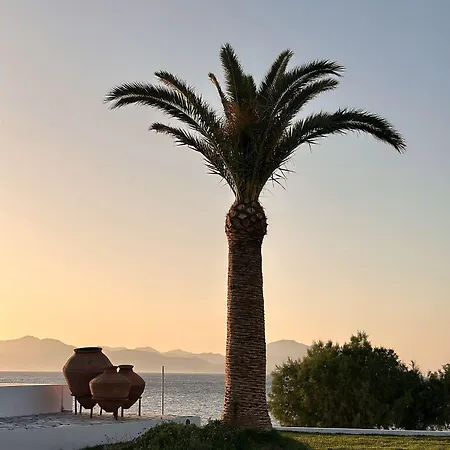 Hotel Smy Kos & Splash Mastihari